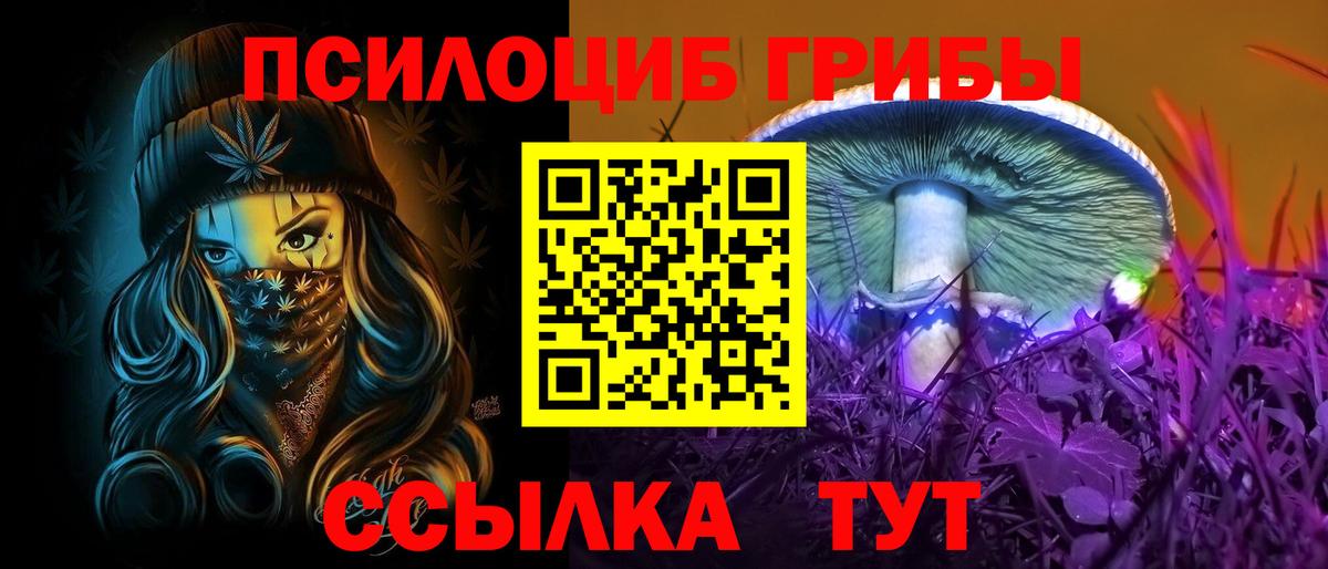Псилоцибиновые грибы Magic Shrooms  Галлюциногенные грибы Cubensis  Ржев  Вход с VPN 